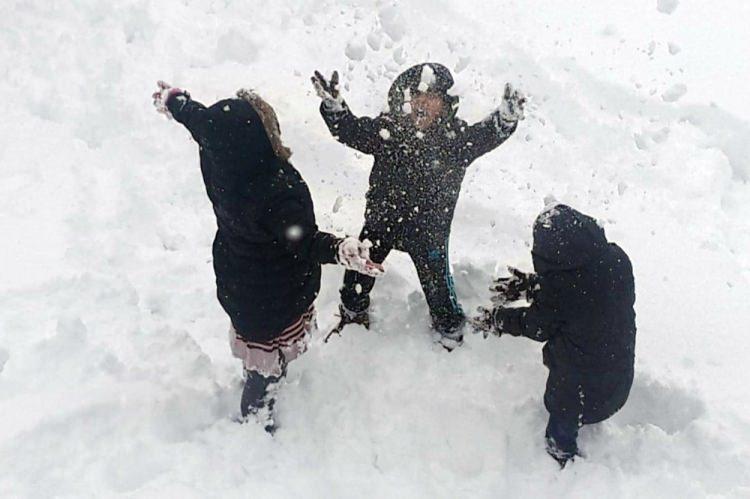 <p><strong>BİTLİS</strong></p>
<p>Bitlis'in Mutki ve Hizan ilçelerinde olumsuz hava koşulları nedeniyle eğitime bugün ara verildi. </p>