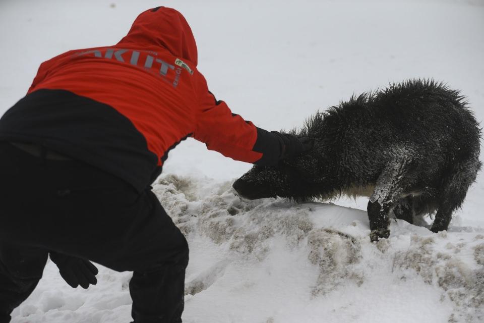 <p>Kendilerine bir hayvansever tarafından kar altında mahsur kalan köpeklerin olduğu yönünde bir ihbar geldiğini belirten AKUT operasyon sorumlusu Mahir Yatağan, AA muhabirine yaptığı açıklamada, gelen ihbarın ardından hazırlanarak yola çıktıklarını söyledi.</p>
<p> </p>