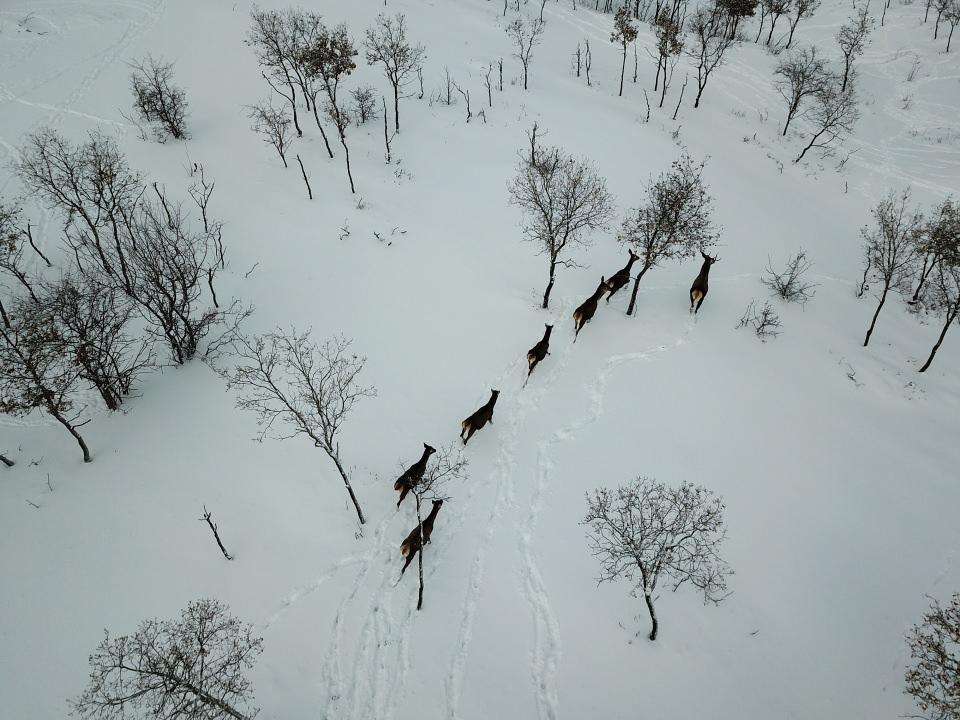 <p>Gül, hayvanlara sahip çıkmanın sadece belediyenin görevi olmadığını vurgulayarak, "Ne kadar canlı varsa hepsine saygımız var ve hepsini korumak adına elimizden geleni yapıyoruz. Bu konuda vatandaşlarımızdan hem katkı hem anlayış hem de yardım bekliyoruz. Vicdanı olan herkesin hayvanlara sahip çıkmasını istiyoruz." ifadelerini kullandı.</p>

<p> </p>
