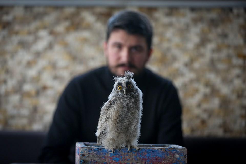 <p>Flamingoyu da yakın zamanda teslim edeceğini belirten Tüydeş, "Bu iki canlının aynı ortamda yaşaması çok alışık olduğumuz bir durum değil.</p>
<p> </p>