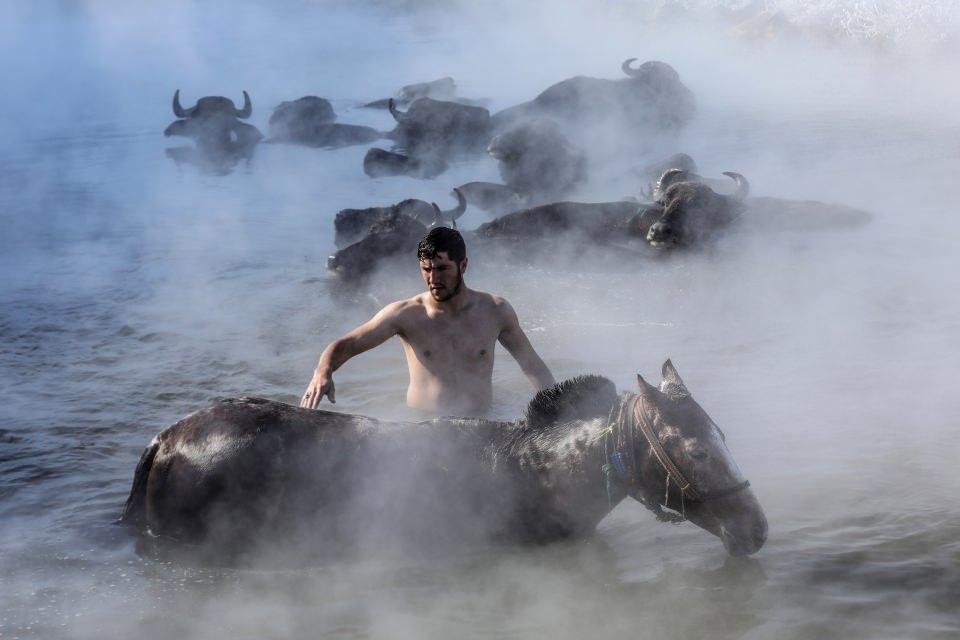 <p>Fotoğraf tutkunları da hava sıcaklığının sıfırın altında 20 dereceye kadar düştüğü bölgede hayvanların kaplıcada yıkanmasını görüntülemek için köye geliyor.</p>
<p> </p>