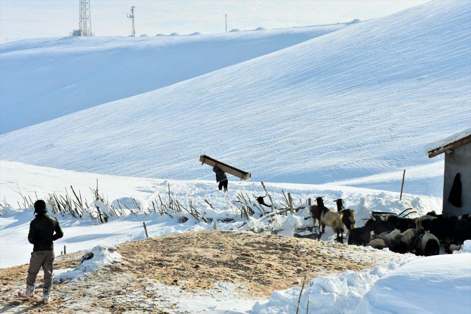 <p>Muş'ta kar ve tipi nedeniyle il genelinde 217 köy yolu ulaşıma kapandı. Bölgedeki besiciler, hayvanlarının bakımları ve beslenmelerini güçlükle yürüttü.</p>

<p> </p>
