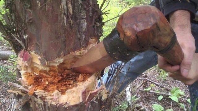 <p>Ağaç keserken kullandığı baltayı da Ötzi'nin batlasından esinlenerek tasarladı.</p>
<p> </p>