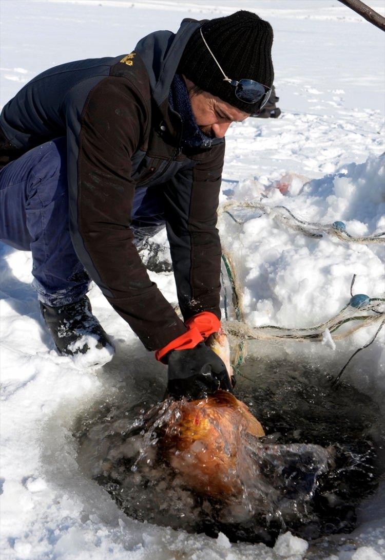 <p>Doğu Anadolu'nun en büyük ikinci gölü olan ve kışın üzerinde Eskimo usulü balık avcılığı yapılan Çıldır Gölü'nde, yaklaşık 5 kilo 200 gram ağırlığında sezonun en büyük tatlı su sazanı yakalandı. Bölgede Van Gölü'nden sonra en büyük göl unvanına sahip, kış mevsiminde yüzeyi tamamen buzla kaplanan Ardahan-Kars sınırındaki Çıldır Gölü'nde, etkili soğuk hava nedeniyle buz tabakasının kalınlığı yer yer bir metreye kadar ulaştı.</p>
<p> </p>
