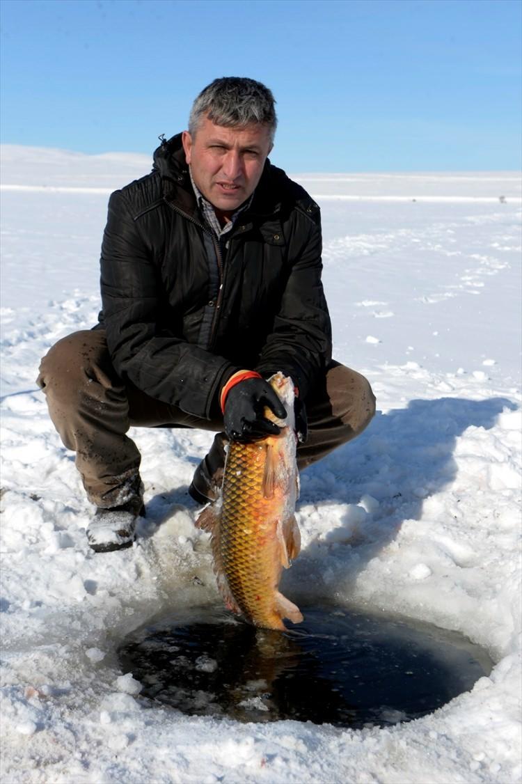 <p>Topkaya ve arkadaşlarınca göl üzerindeki buzlar kırılıp suya salınan ağların çekilmesiyle yakalanan 5 kilo 200 kilogram ağırlığındaki, halk arasında sarı balık olarak bilinen tatlı su sazanının, bu kış gölde yakalanan en büyük balık olduğu belirtildi.</p>
<p> </p>