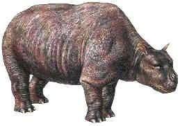 <p>Toxodon</p>

<p> </p>
