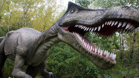 <p>Endonezya'da bulunan bir madde, akıllara Jurassic Park filmini getirdi.</p>
<p> </p>