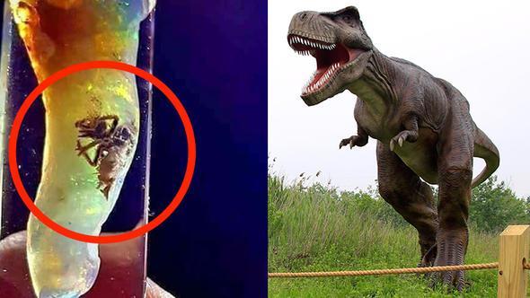 <p>Jurassic Park filminde dinozorların milyonlarca yıl sonra tekrar hayata döndürülmesi konu alınıyordu.</p>

<p> </p>

