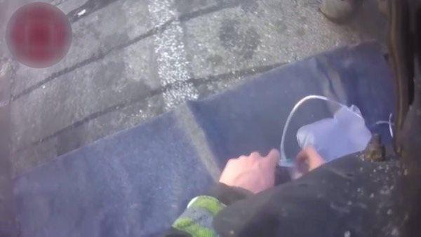 <p>Yetkililer, itfaiye ekiplerinin işyerinden duman çıktığına dair aldıkları ihbar üzerine olay yerine gittiklerini; yangının çıkış nedeninin henüz bilinmediğini: köpeklerin ise görevlilerin zamanında müdahalesi sonrası hayata döndürüldüklerini açıkladı.</p>