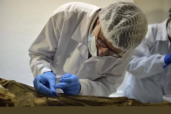 <p>Fransız adli doktoru Philippe Charlier, Ekvador'da bir laboratuvarda Guano Mumyası'nı inceledi.</p>

<p> </p>
