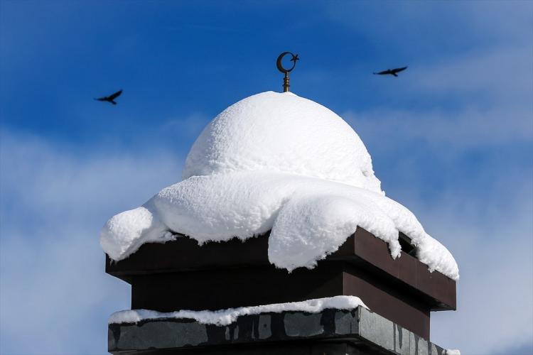 <p>Van'ın Gevaş il&ccedil;esinde kar yağışı sonrası etkili olan g&uuml;neşli havayı fırsata d&ouml;n&uuml;şt&uuml;ren onlarca &ccedil;ocuk, tahta ve plastik borulardan yaptıkları kızaklarla g&ouml;n&uuml;llerince kayak yaptı.</p>
