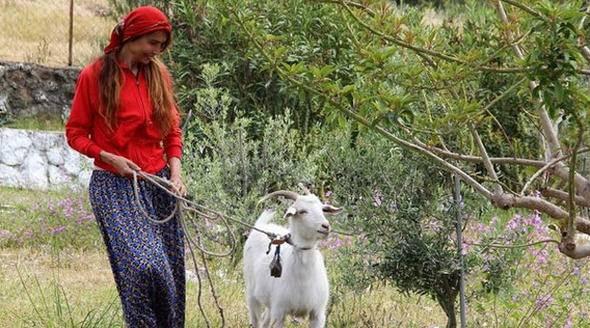 <div>Dohmen, şimdi hayatının büyük bölümünü Bodrum'da kendine küçük bir çiftlik kurdu. Zaman zaman İstanbul'a ya da Almanya'ya gitse de sonunda soluğu köyünde alıyor.</div>

<div> </div>
