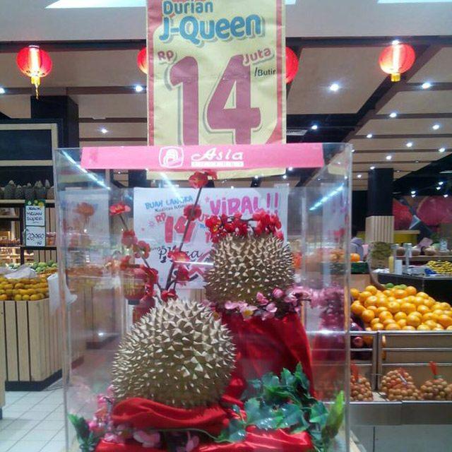 <p>ÇOK ÖZEL BİR MEYVE</p>

<p>Durian, Güneydoğu Asya'nın birçok bölgesinde çok özel bir meyve olarak kabul ediliyor.</p>

<ul>
</ul>
