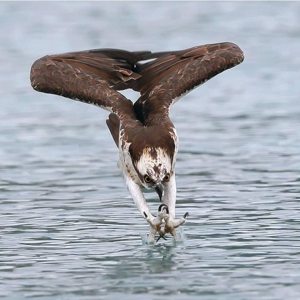 <p>İşte tam zamanında çekilmiş birbirinden harika fotoğraflar...</p>
