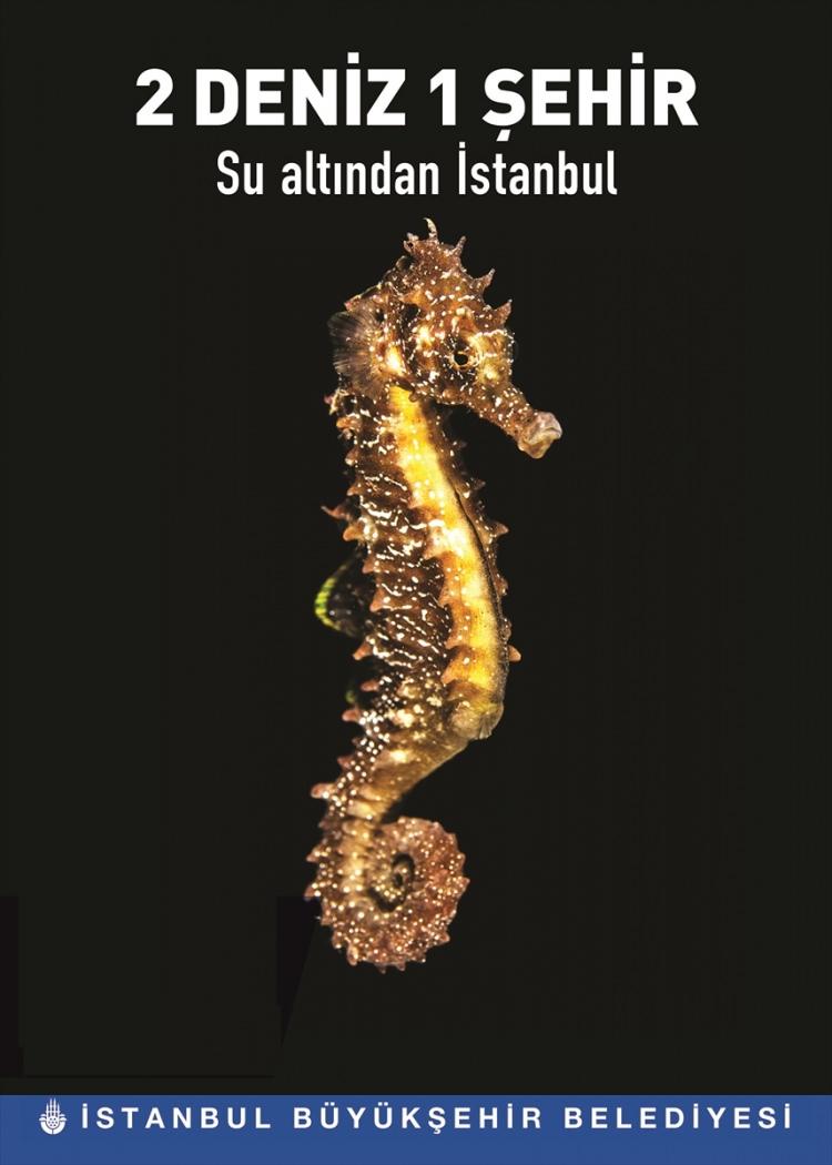 <p><strong>KAPSAMLI VERİ BİRİKİMİ SAĞLANDI </strong></p>
<p>“İki Deniz Bir Şehir: Su Altından İstanbul” belgeseli İstanbul’u çevreleyen boğaz ve denizlerin flora, fauna ve ekosisteminin kapsamlı teknik çalışmalarla araştırılıp incelenmesiyle elde edilen veriler ışığında hazırlandı.</p>