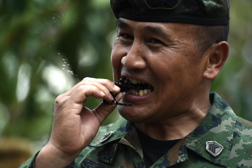 <p>Asya-Pasifik bölgesinin en büyük, çok uluslu askeri tatbikatı olan Cobra Gold tatbikatında ABD ve Tayland ile beraber Singapur, Japonya, Çin, Hindistan, Endonezya, Malezya ve Güney Kore'den de pek çok asker katıldı.</p>

<p> </p>
