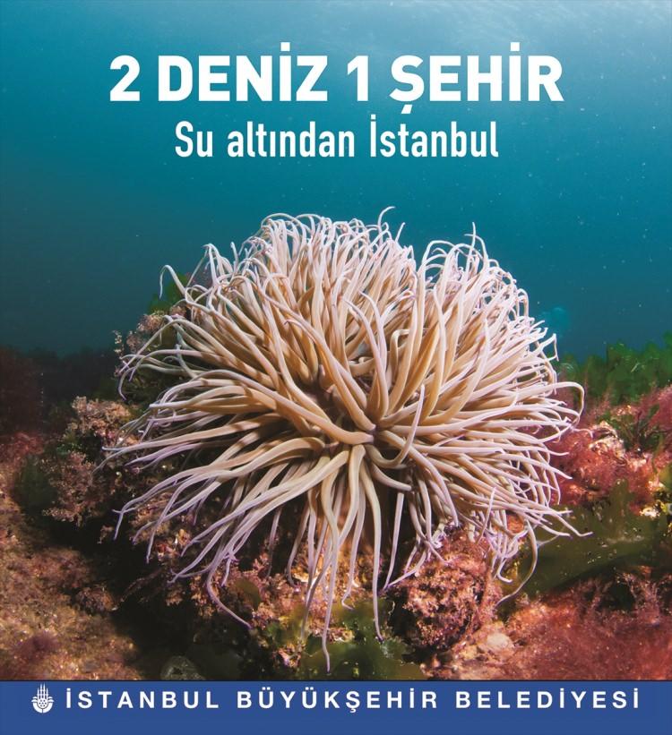 <p><strong>“İSTANBUL’U YENİDEN KEŞFETMEYE ÇALIŞIYORUZ” </strong></p>
<p>Belgeselin su altında geçirilen büyük gayretin neticesinde oluştuğuna vurgu yapan İstanbul Büyükşehir Belediyesi (İBB) Genel Sekreteri Hayri Baraçlı, “İstanbul 6 kıyısı olan, 3 imparatorluğa başkentlik yapmış, 8 bin 500 yıllık geçmişi olan bir şehirdir. Bunlar dünya için oldukça önemli unsurlar. Yapılan bu tarz çalışmalar ile İstanbul’u yeniden keşfetmeye çalışıyoruz. Hem deniz hizmetleri müdürlüğümüz hem de çevre daire başkanlığımız ile beraber denizlerimizin kıymetini oldukça iyi biliyoruz. Bizler de denizlerimizin altını temiz tutabilmek adına İSKİ kuruluşumuz ile beraber yüzde yüz biyolojik arıtma ile denizi sonuna kadar temiz tutmaya çalışıyoruz” ifadelerini kullandı.</p>