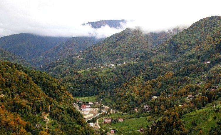 <p>Rize (Hemşin)<br />
 </p>
