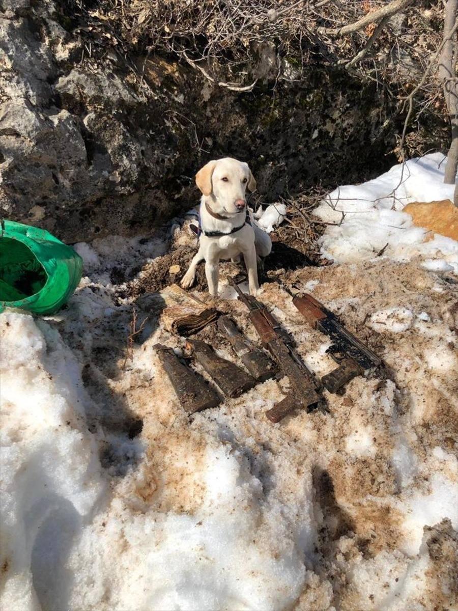 <p>Operasyon kapsamında mayın arama köpeği 'Posta'nın da katılımıyla yapılan aramada biri ağaç kovuğunda yer altında toplam 3 depo tespit edildi.</p>