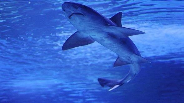 <p>13- Kosta Rika</p>
