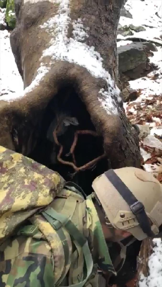 <p>İl Jandarma Komutanlığı'nca, Eruh'un Akmeşe kırsalında terör örgütü PKK'ya yönelik 'Şehit Jandarma Uzman Çavuş Süleyman Aydın-17' operasyonu düzenlendi.</p>