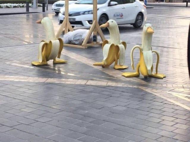 <p>Bu ördekler muz kılığına nasıl girdi?</p>