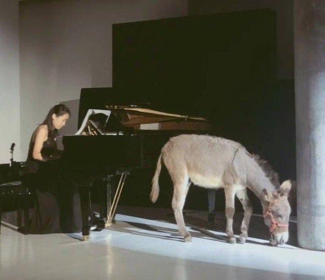 <p>Fotoğraftaki iki nesne birbirinden çok alakasız değil mi?</p>