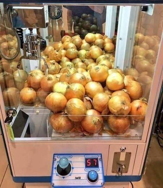 <p>Soğan kazanmak isteyen var mı?</p>
