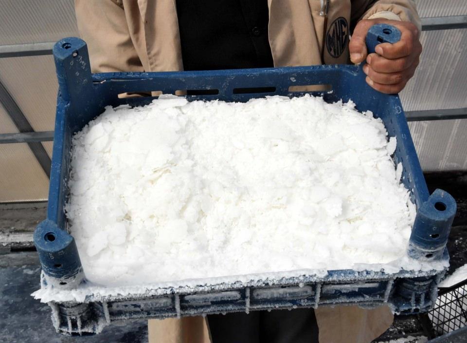 <p>"Kapasitemizi günlük 20 tona çıkartacağız" Gözüyukarı, doğal yollardan çıkan suyu dinlenme havuzlarına aldıklarını ve içerisinde yabancı bir madde kalmaması için dinlendirmeye aldıklarını aktardı. </p>