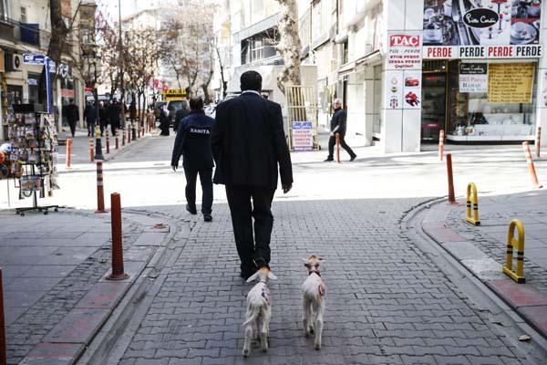 <p>Yakın zamanda ikiz kuzuları evine getirdiğini dile getiren Güngör,  şunları kaydetti:</p>

<p> </p>
