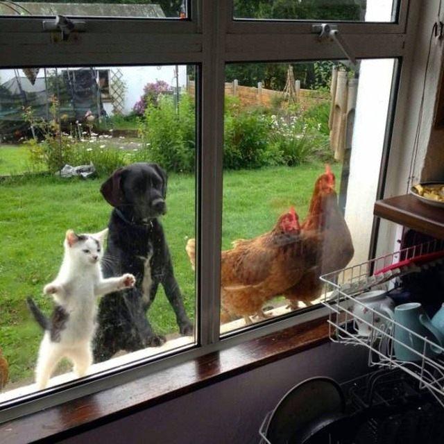 <p>Acaba neyi izliyorlar?</p>