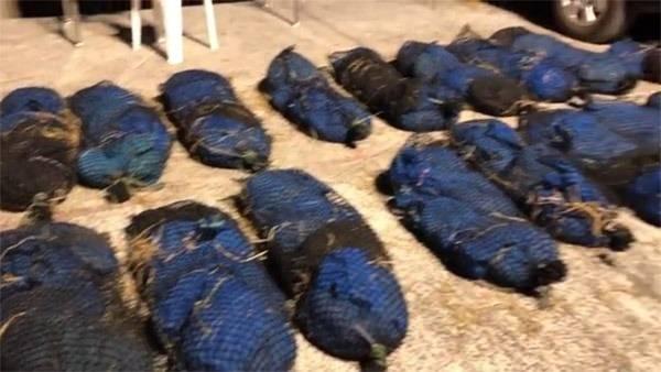 <p>Durdurulan kamyonet tıka basa file çanta doluydu.</p>