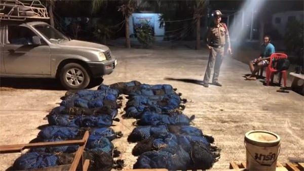 <p>Gözaltına alınan şoför, pangolinleri yaklaşık 320 kilometrelik yolculuğun ardından bir kargo gemisine teslim edeceğini de söyledi.</p>