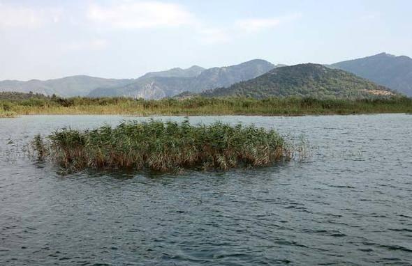 <p>İlk olarak 1999 yılında İtalya'da başlayan "sakin şehir" uygulaması, K&ouml;yceğiz ve Ahlat ile T&uuml;rkiye'de 17 yerleşime ulaştı.</p>

<p>&nbsp;</p>
