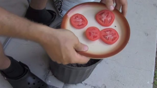 <p>Buzdolabında bozulmaya yüz tutmuş domatesleriniz mi var? Sakın atmayın!</p>

<p> </p>
