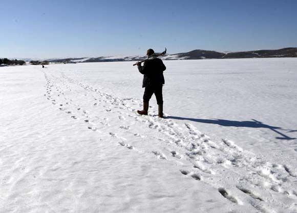 <p>Doğu Anadolu'nun en büyük ikinci gölü olan ve kışın Eskimo usulü balık avcılığı yapılan Çıldır Gölü'nde, buzda balık avcılığı sezonu havaların ısınmasıyla sona erdi.</p>

<p> </p>
