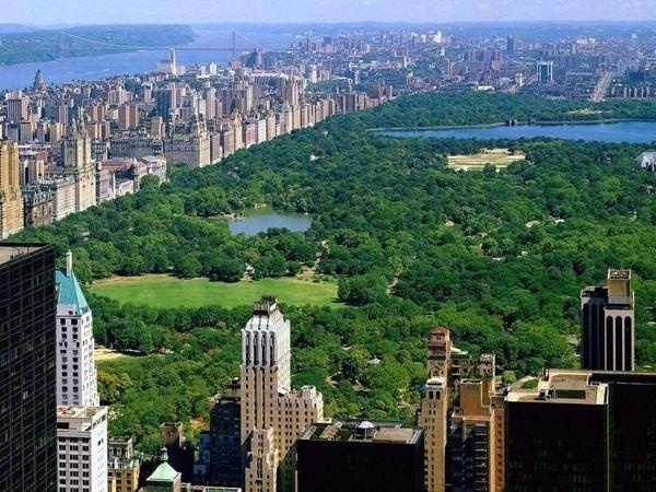 <p>Central park`ta yüzmek yasalara aykırıdır.</p>
<p> </p>