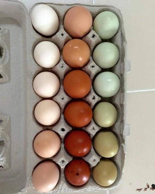 <p>O renk geçişi...</p>
