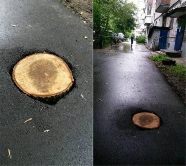 <p>Yolun ortasında kesilmiş bir ağaç.</p>