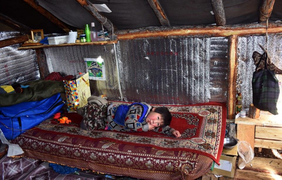 <p>Duha Türkleri, ren geyiklerinin sayısını artırmaya çalışıyor. Şu anda ilk taygada 600, daha uzaktaki ikinci taygada bin kadar geyikleri var. Bu yaz geyiklerin yavrulamasıyla bu sayının 2 bine ulaşması hedefleniyor. </p>

<p> </p>
