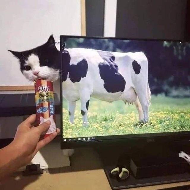 <p>İşte sosyal medya hesaplarında paylaşılan saçmalığın ve garipliğin zirvesine ulaşmış fotoğraflar...</p>