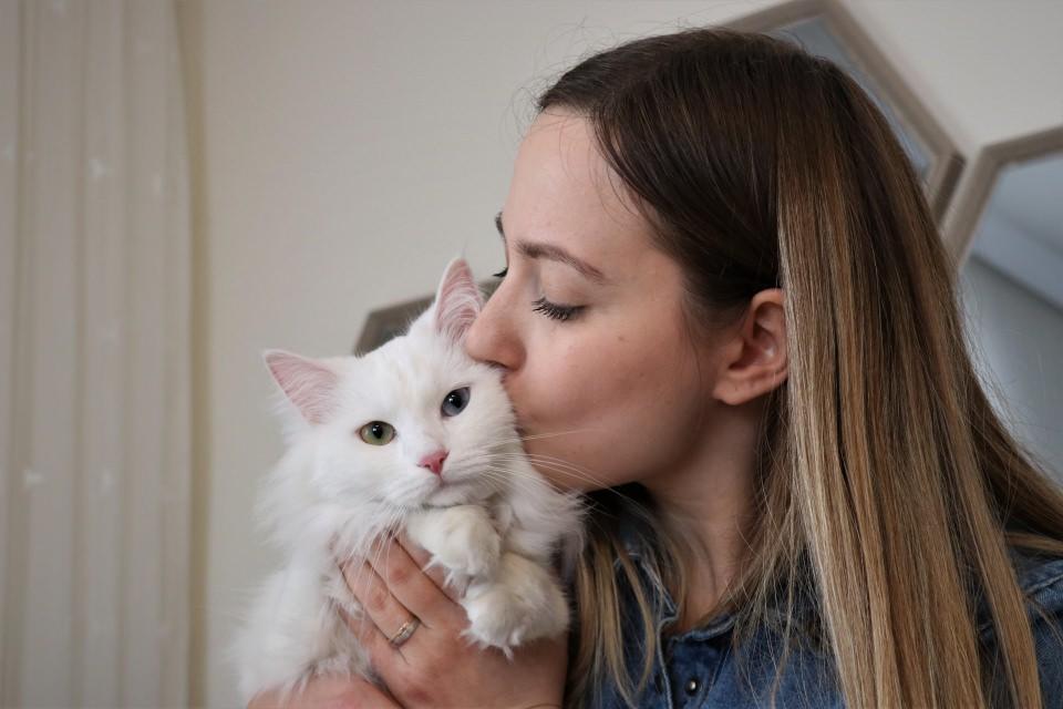 <p>Kaval, evin maskotu haline gelen kediyi kentte düzenlenen "Van Kedisi Güzellik Yarışması"nda podyuma çıkardı ve Spak "en güzel kedi" seçildi.</p>

<p> </p>
