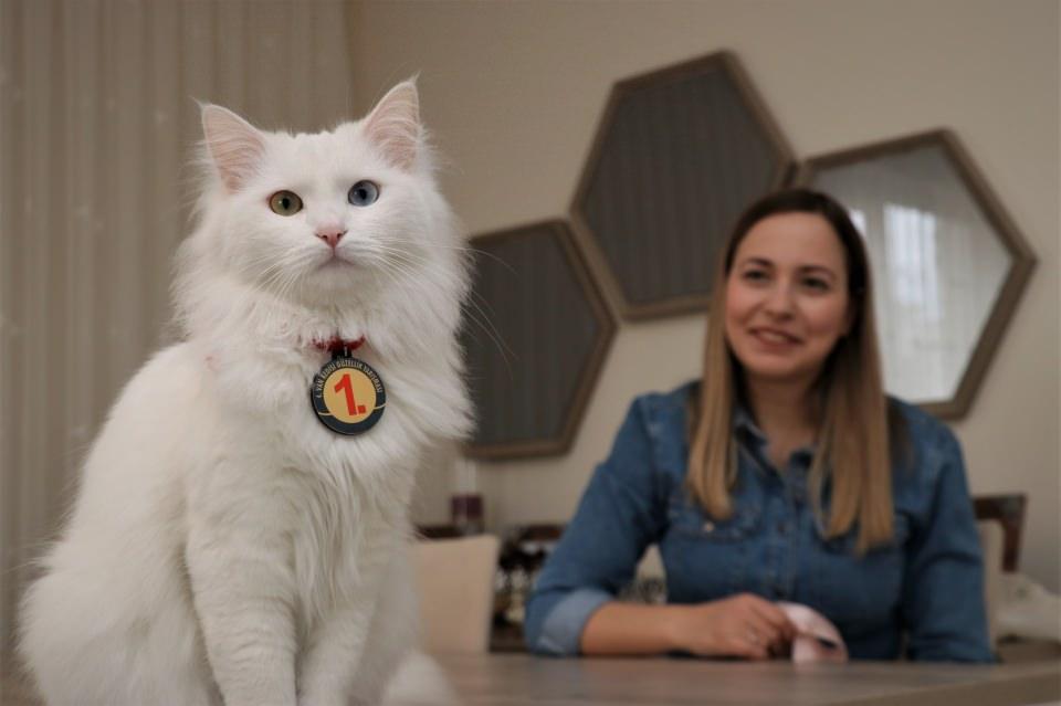 <p>Van'ın İpekyolu ilçesinde 2 yıl önce sokak hayvanlarından etkilenerek kedi beslemeye karar veren Kaval, Yüzüncü Yıl Üniversitesi (YYÜ) Van Kedisi Araştırma ve Uygulama Merkezinden aldığı ve ismini "Spak" koyduğu kediyi bir an olsun yanından ayırmıyor.</p>

<p> </p>
