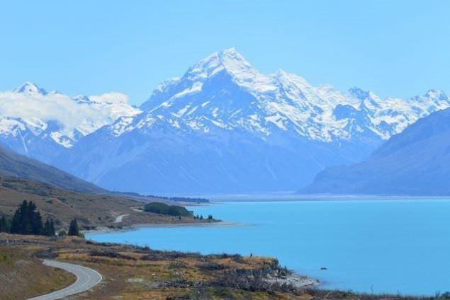 <p>Yeni Zelanda: Kral somon</p>
