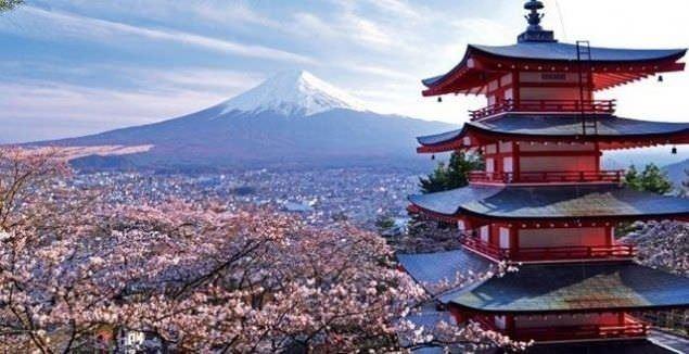 <p>Japonya: Üstün özellikli yemekler</p>