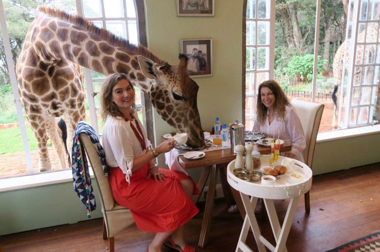 <p><strong>Giraffe Manor, Kenya</strong></p>
