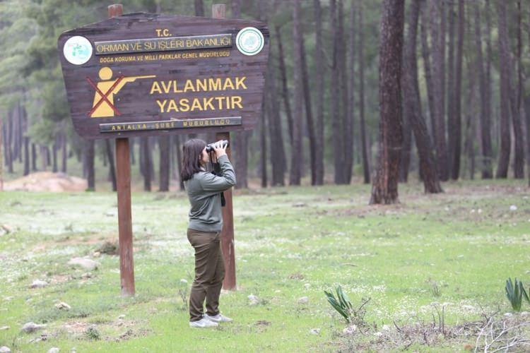 <p>Kurtlardan korkmadığını anlatan Tekdemir, "İnsanlara alışık olduğu için zarar vereceğini düşünmüyorum. Buraya alıştığı, kafeste büyüdüğü için yine bu yakınlarda olduğunu düşünüyorum. Kaçtığına da bir taraftan sevindim. Özgürlüğüne kavuştu. Hapsetmemek lazım" dedi.</p>
