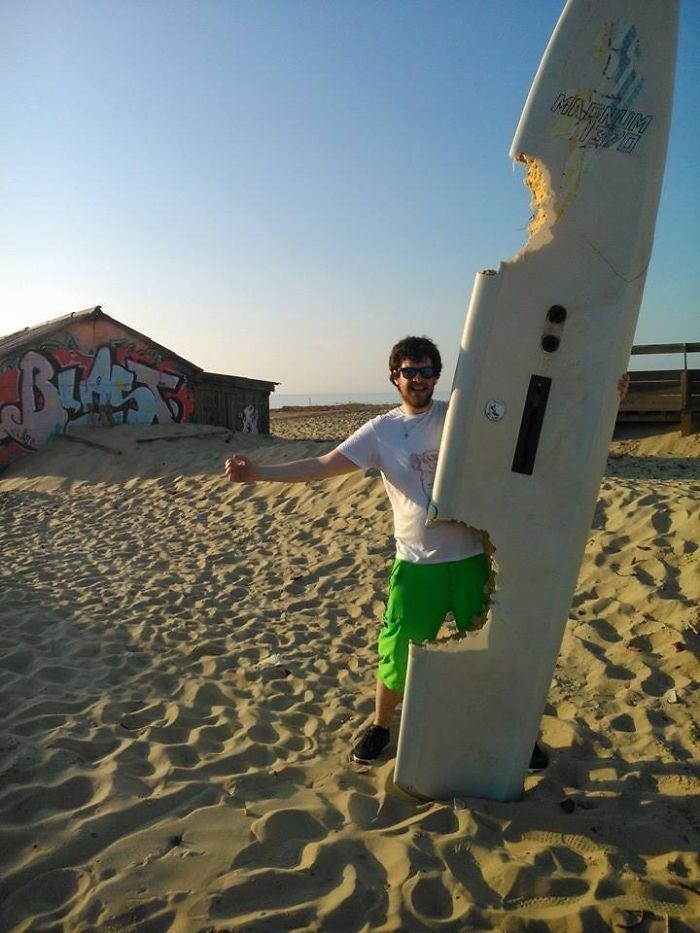 <p>İki ısırık izi olan s&ouml;rf&nbsp; kayağı</p>
