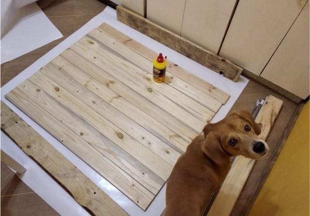 <p>Bu köpekte sahibinin ne yapacağını merakla bekliyordu.</p>
