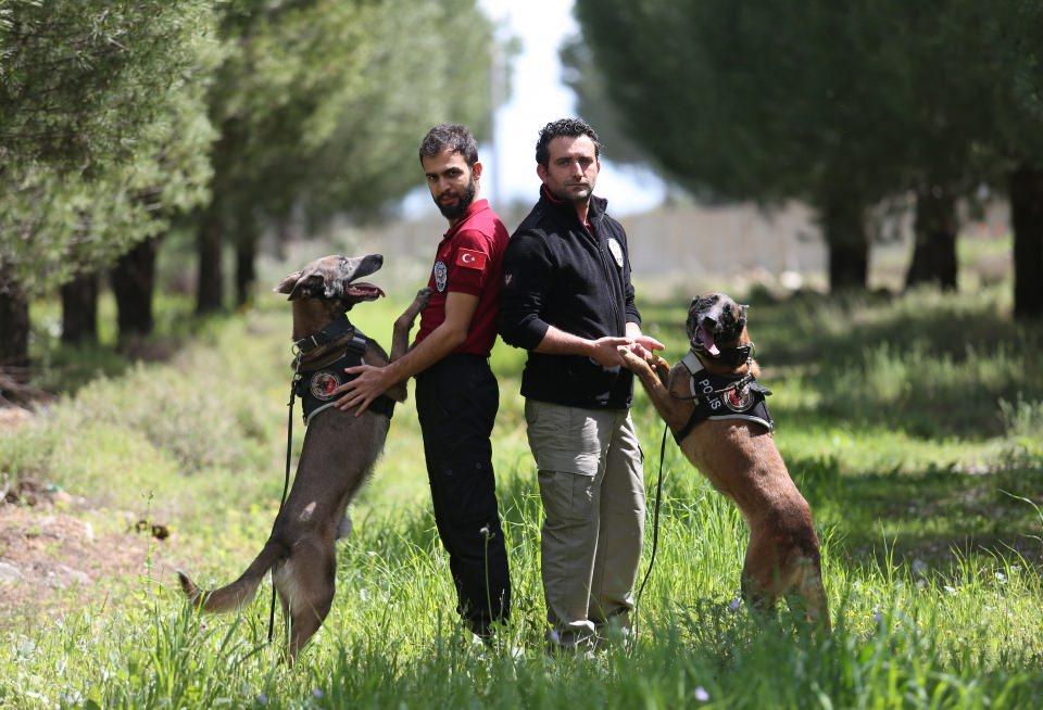 <p>Antalya Lara'daki K&ouml;pek Eğitim Merkezinde 6 ay s&uuml;ren zorlu eğitimlerin ardından idarecileri ile mesaiye başlayan Bel&ccedil;ika &ccedil;oban k&ouml;peği cinsi koku molek&uuml;l&uuml; iz takip k&ouml;peği "Kuşka" ve kadavra arama k&ouml;peği "Melo" olayların aydınlatılması i&ccedil;in bir arada g&ouml;reve &ccedil;ıkıyor.</p>

<p>&nbsp;</p>
